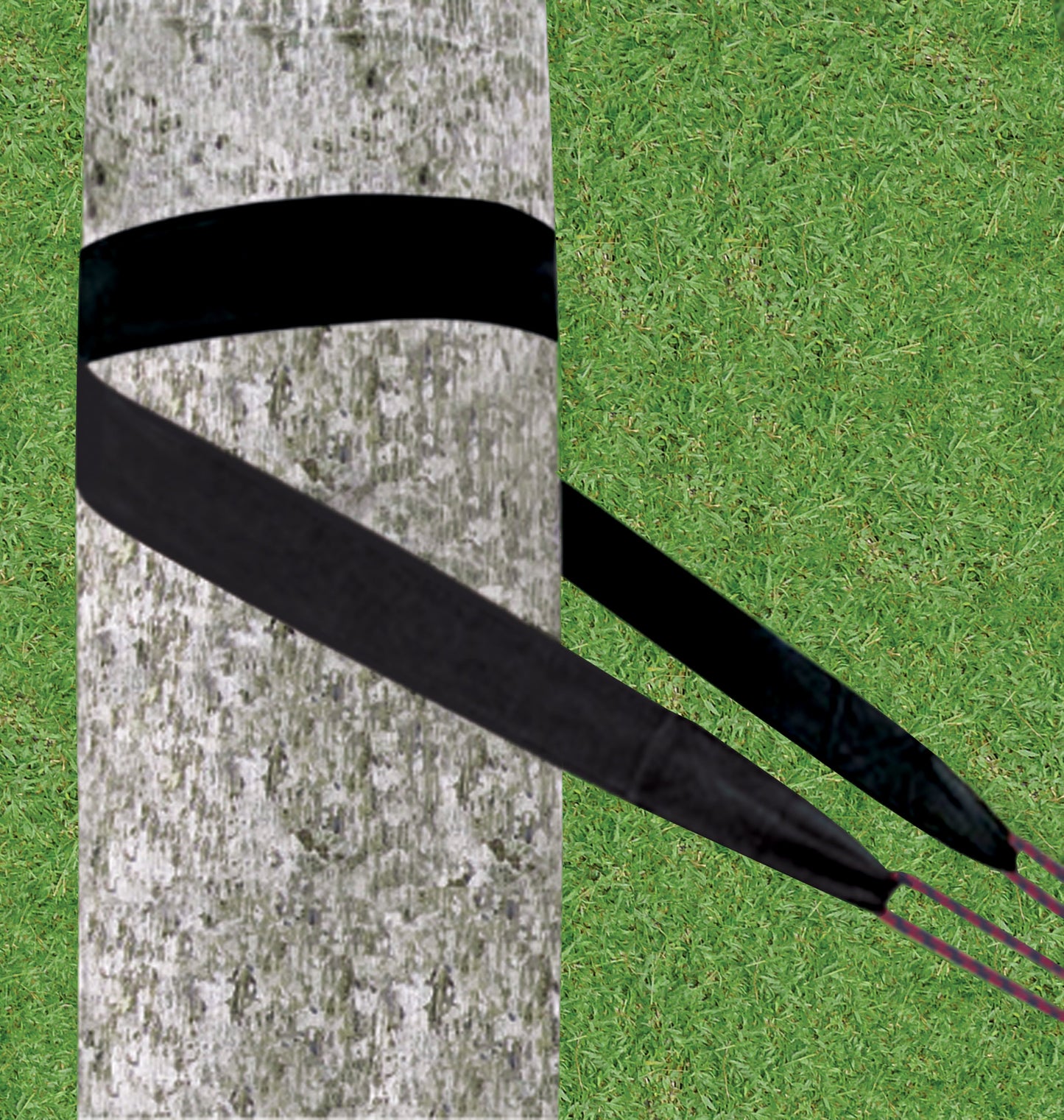 Standard Tree Straps-3
