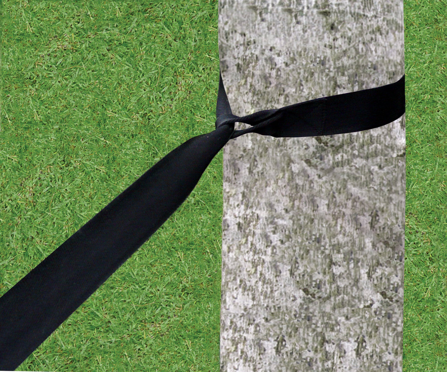 Standard Tree Straps-1