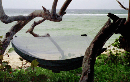 Mosquito Free-4